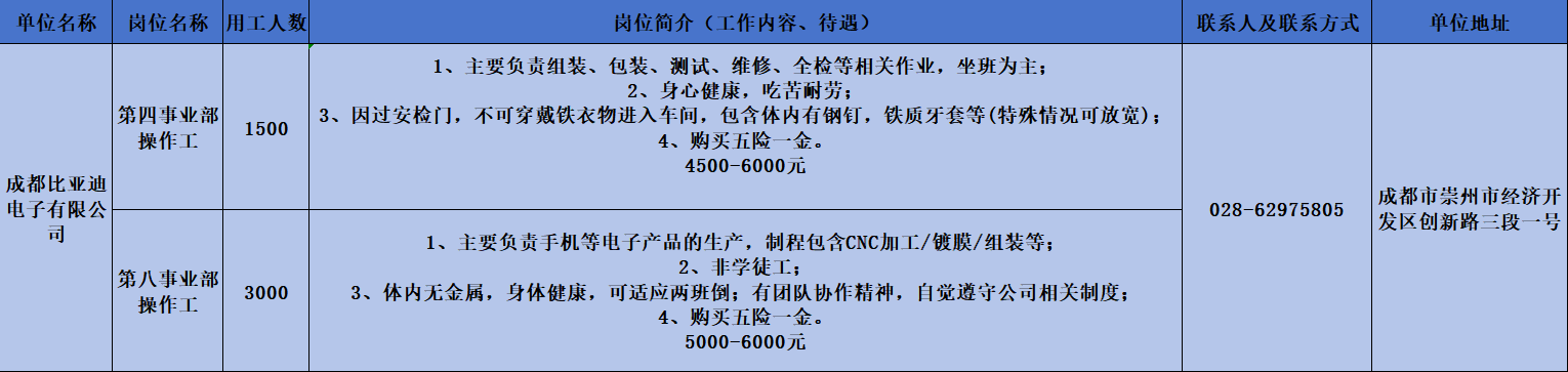 40-比亚迪.png
