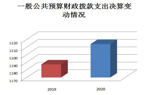 一般公共预算
